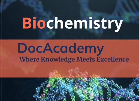 WhatsApp Image 2025-11-24 at 17.23.55_41cd14d9