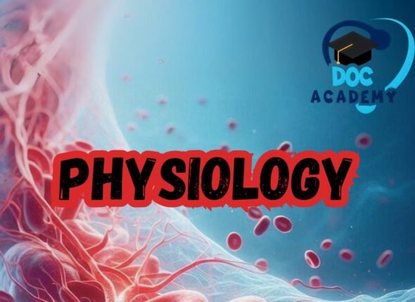 WhatsApp Image 2025-11-24 at 17.27.53_4613c163