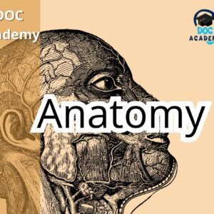 Anatomy