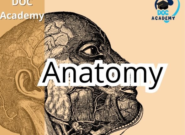 WhatsApp Image 2025-11-24 at 17.37.45_bafe23e2