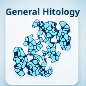 General Histology (October Uni)